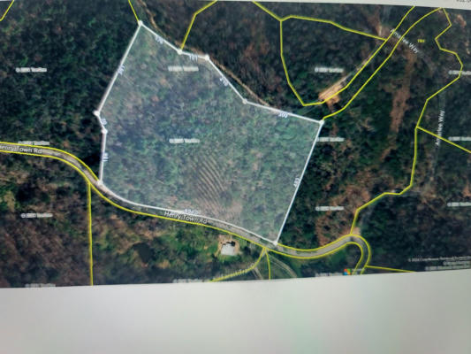 0 9.24 ACRES HENRY TOWN ROAD, SEVIERVILLE, TN 37876 - Image 1