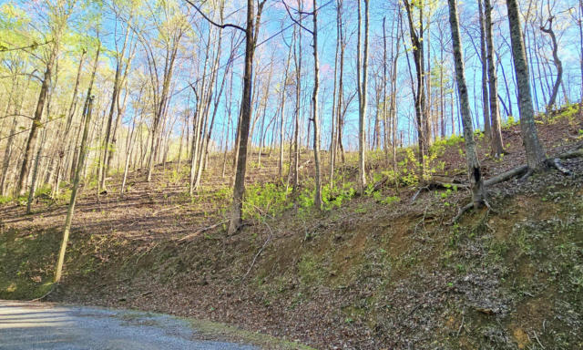 LOT 6 EMERALD SPRINGS LOOP, SEVIERVILLE, TN 37862, photo 5 of 18
