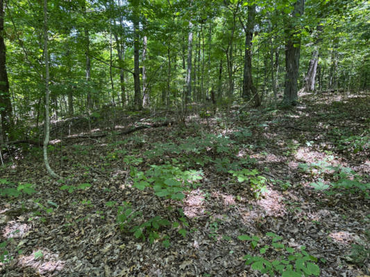6.8 ACRES FRIENDSHIP SOUTH ROAD, GREENEVILLE, TN 37616 - Image 1