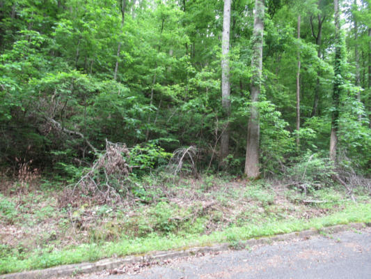 LOT 114 BEAR VALLEY ROAD, SEVIERVILLE, TN 37862, photo 3 of 9