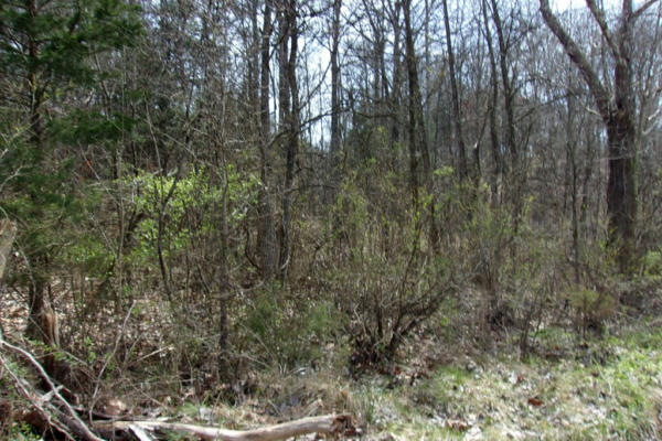 TRACT 7 LONESOME PINE ROAD, BYBEE, TN 37714, photo 3 of 9