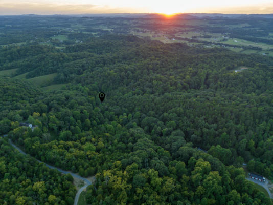 263 BUZZARD ROOST RD, BULLS GAP, TN 37711 - Image 1