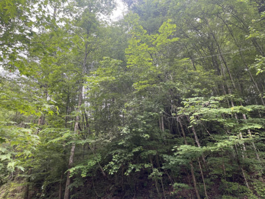 LOT 20 N CLEAR FORK ROAD, SEVIERVILLE, TN 37876 - Image 1