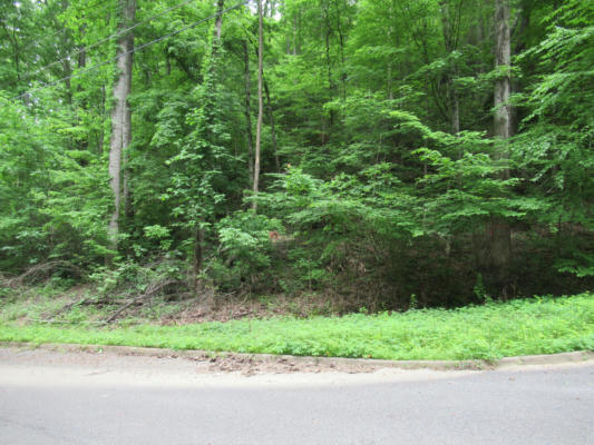 LOT 114 BEAR VALLEY ROAD, SEVIERVILLE, TN 37862, photo 2 of 9