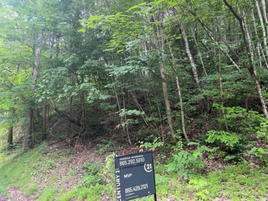 LOT 20 N CLEAR FORK ROAD, SEVIERVILLE, TN 37876 - Image 1