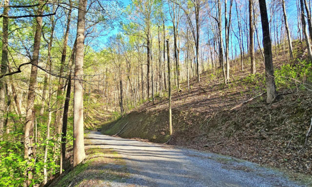 LOT 6 EMERALD SPRINGS LOOP, SEVIERVILLE, TN 37862, photo 3 of 18