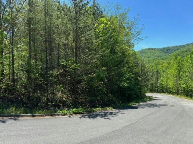2481 HAPPY HOLLOW RD ROAD, SEVIERVILLE, TN 37862, photo 1 of 31