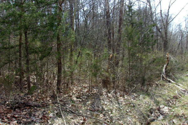 TRACT 7 LONESOME PINE ROAD, BYBEE, TN 37714, photo 4 of 9
