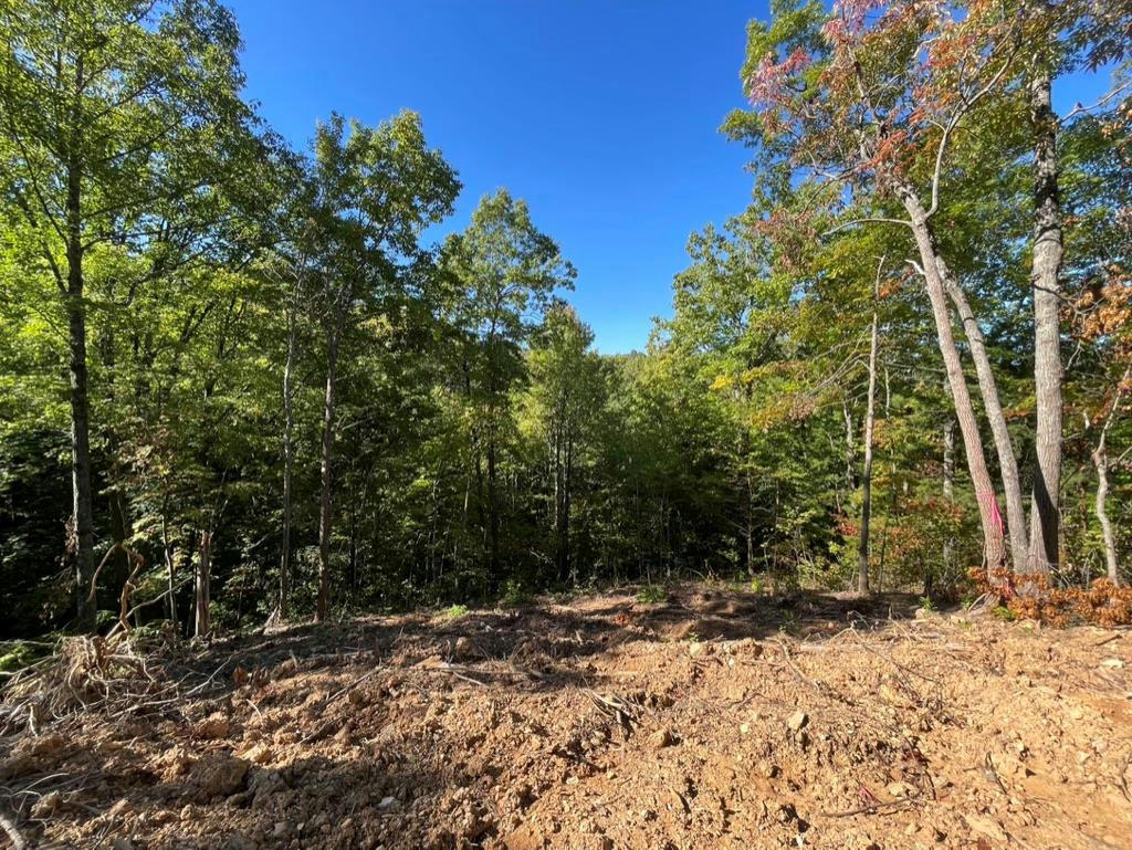 LOT 5 CANEY CREEK, PIGEON FORGE, TN 37863, photo 1 of 11