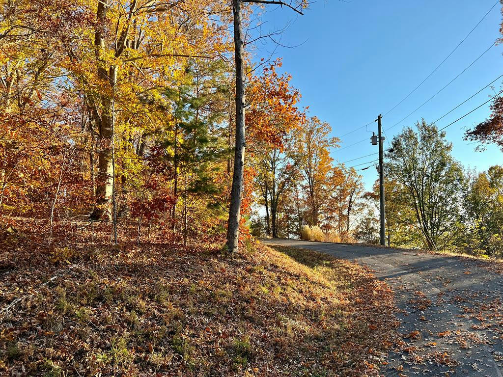 LAKEFRONT PLACE, BANEBERRY, TN 37890, photo 1 of 10