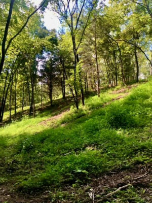 0 MCCARTER HOLLOW RD ROAD, SEVIERVILLE, TN 37862, photo 4 of 8