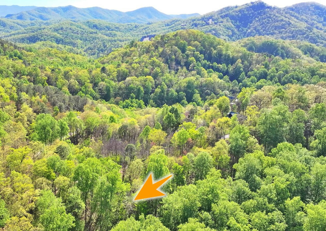 LOT 6 EMERALD SPRINGS LOOP, SEVIERVILLE, TN 37862, photo 1 of 18