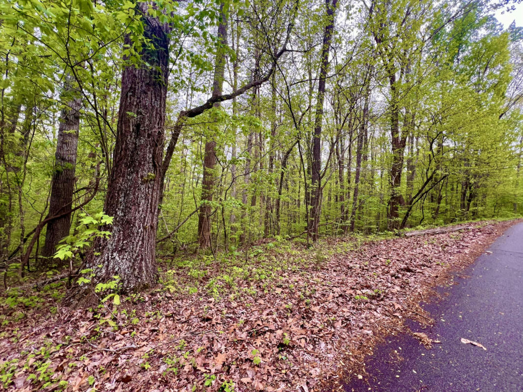 LOT 71&72 POLLY MOUNTAIN RD, MADISONVILLE, TN 37354, photo 1 of 14