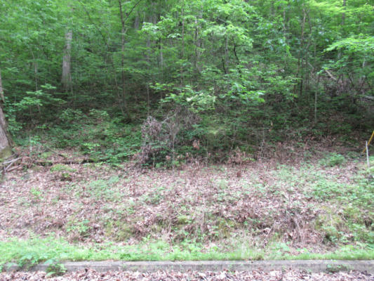 LOT 114 BEAR VALLEY ROAD, SEVIERVILLE, TN 37862, photo 4 of 9