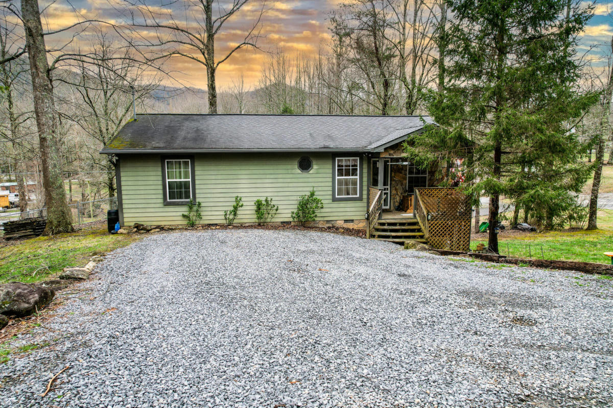 146 HOLLOW RD, COSBY, TN 37722, photo 1 of 32