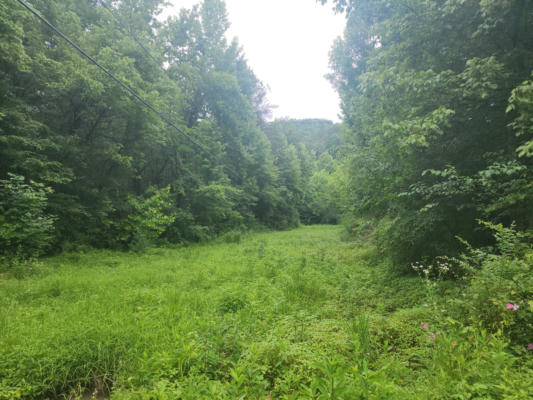 00 ROCKY FLATS RD ROAD, SEVIERVILLE, TN 37876 - Image 1